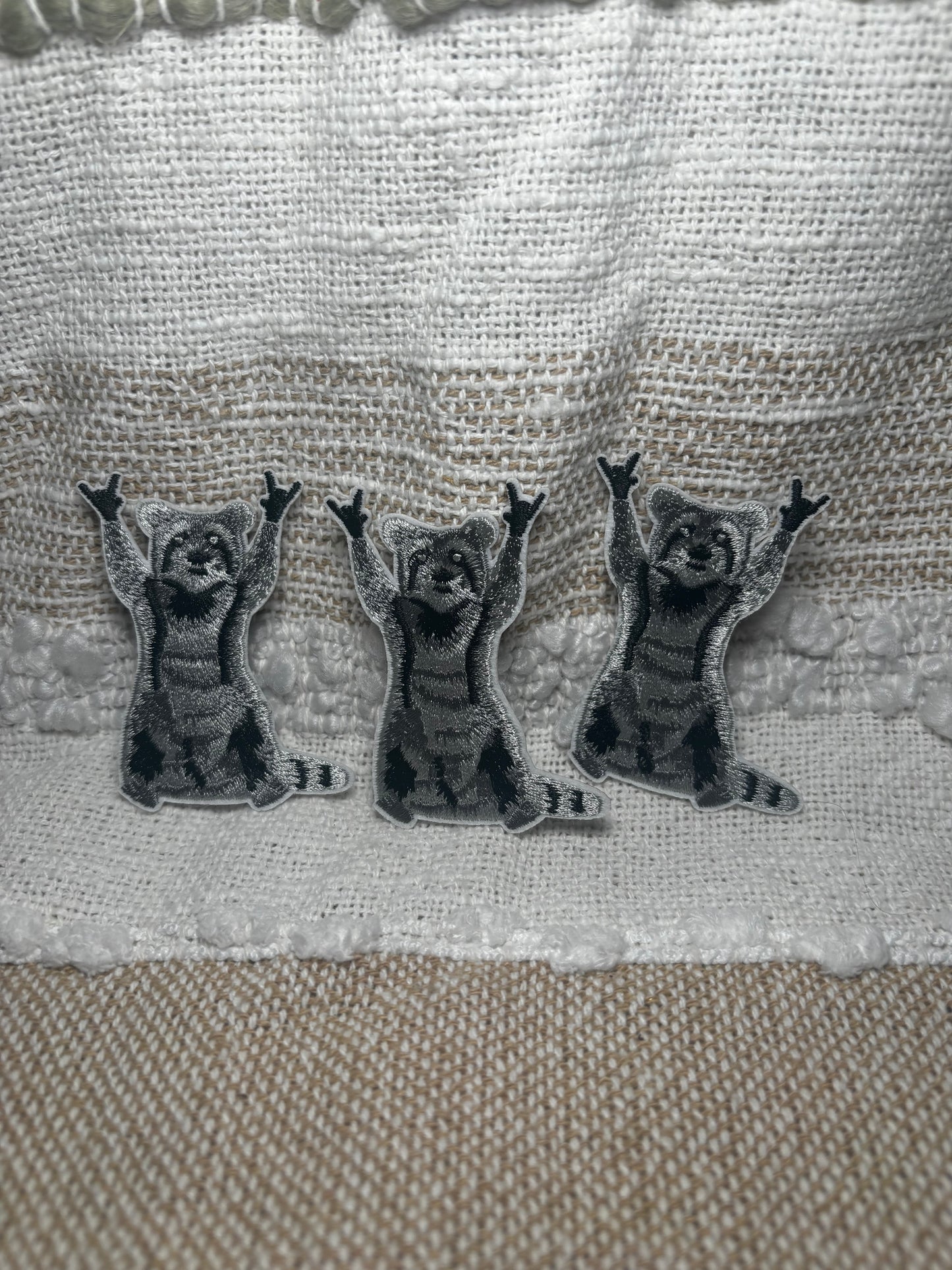 Rock- On Raccoon Patch